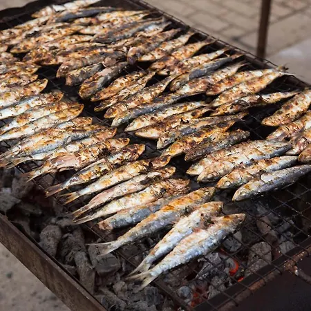 Appartement Maritime Discovery