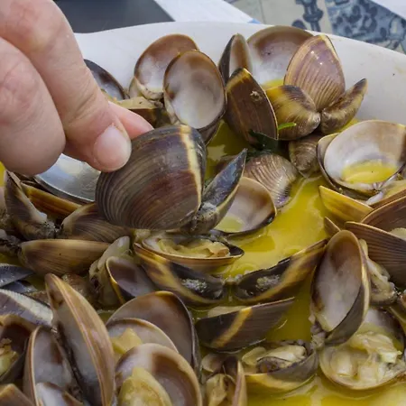 Maritime Discovery *