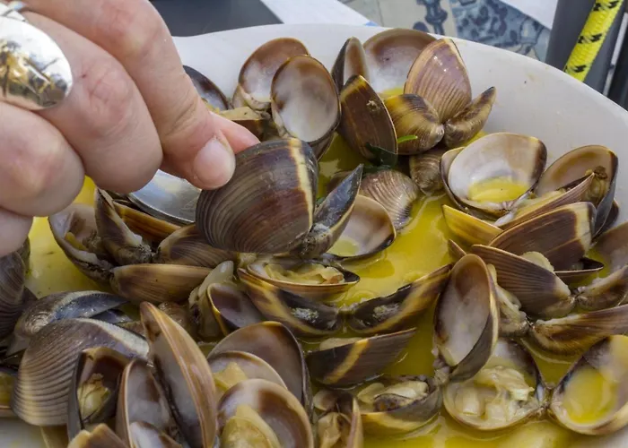 Maritime Discovery *